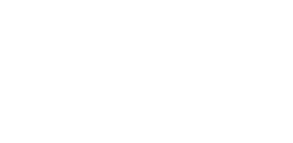 Entrepreneurial Leverage