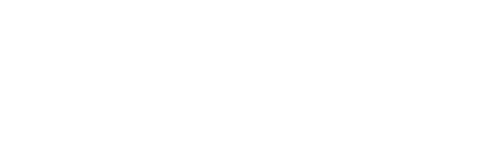  entrepreneurial-leadership-and-leverage