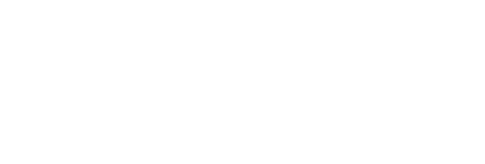  entrepreneurial-leadership-and-leverage